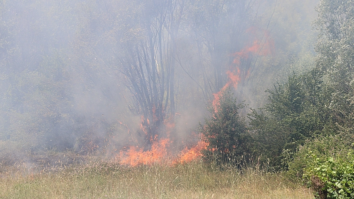 Ormanlar, Keyfiyata Feda Edilmemeli