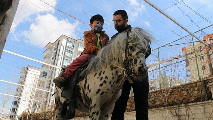 Otizmli çocuklar, duyu odaları ve atla terapiyle hayata hazırlanıyor