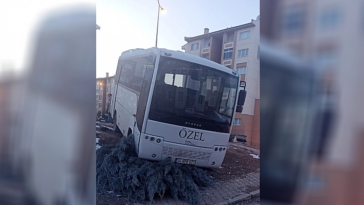 Elazığ'da Freni Patlayan Midibüs Kaldırıma  Çarpıp Ağacı Devirdi