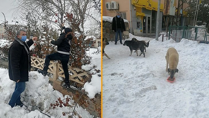 Polis Yaban ve Sokak Hayvanlarını Unutmadı