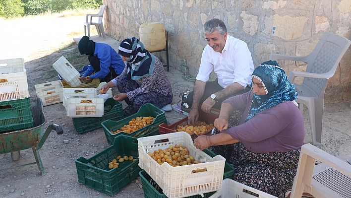 Sadece Eğlence Festivali Değil