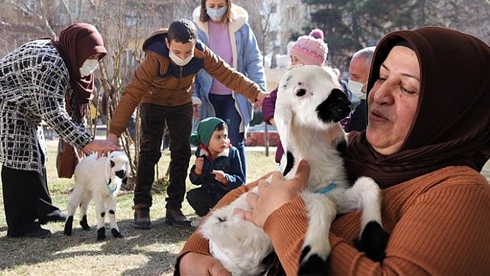 Sahiplendiği kuzu, hem evinin neşesi, hem de terapisi oldu