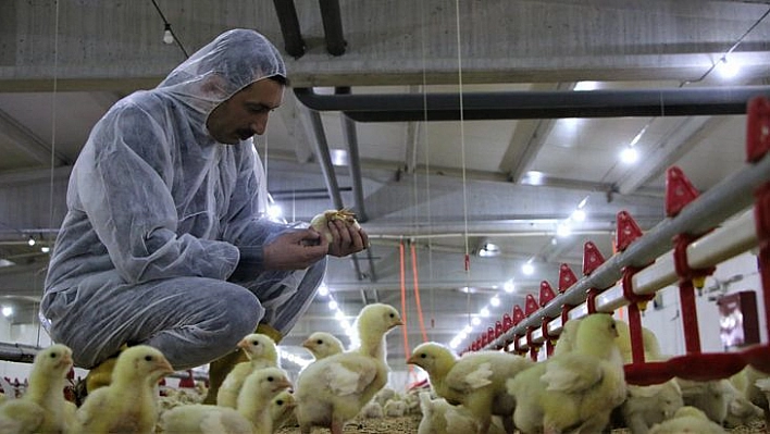 Şehir Hayatından Sıkıldı, Devletten Aldığı Destek İle Köye Dönüp Çiftlik Kurdu