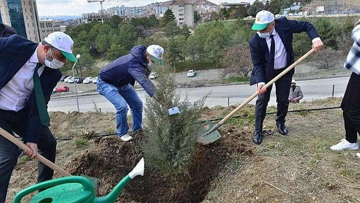 Şehitlerimiz İçin Çubukbey Anadolu Lisesinde Hatıra Ormanı Oluşturuldu