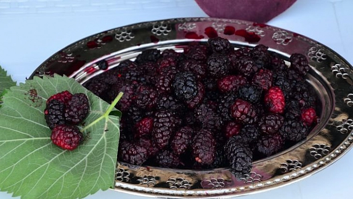 Şifa kaynağı Horum dutu pekmezi gramla satılıyor