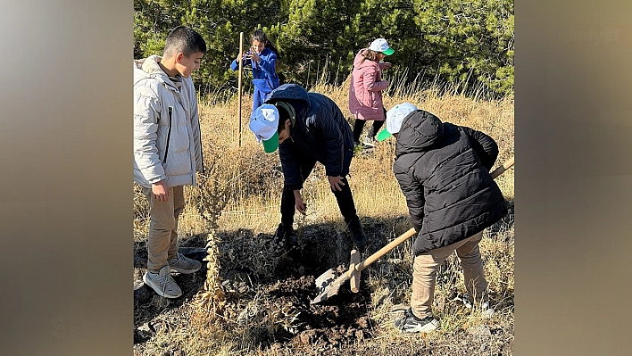 Sivrice'de fidan dikme etkinliği düzenlendi