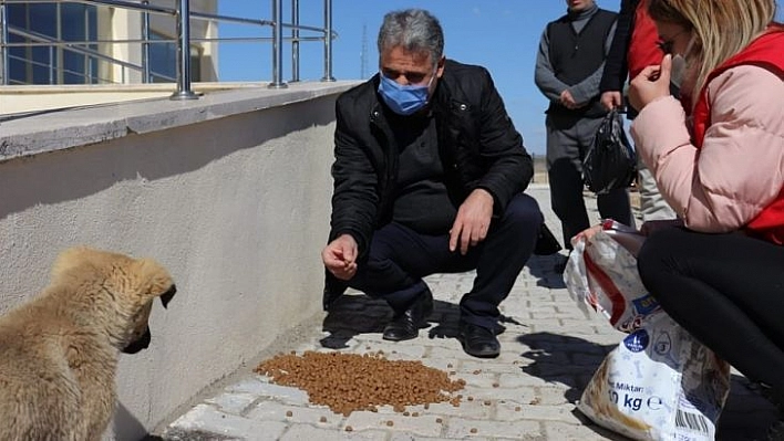 Sokak hayvanlarını besleyen gençlere plaket