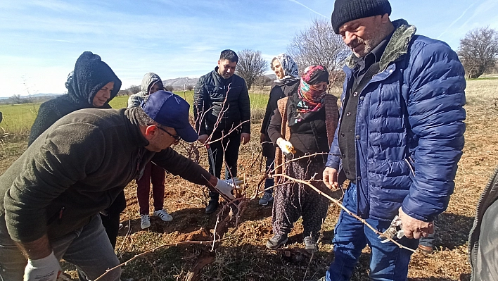 Sün Köyü'nde Vatandaşlara Budama Eğitimi Verildi