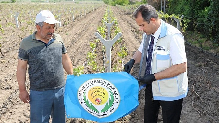 Tarım İl Müdürü Kılıç, Hoş Köyünü Ziyaret Etti