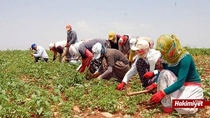 Tarım işçilerine aşı müjdesi