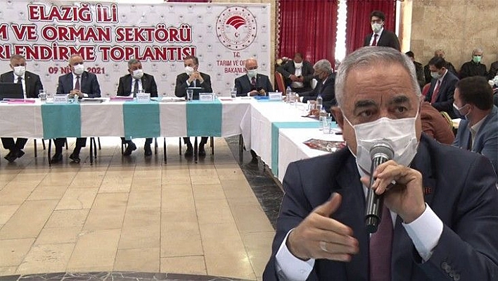 Tarımda Kalkınma Heyecanı