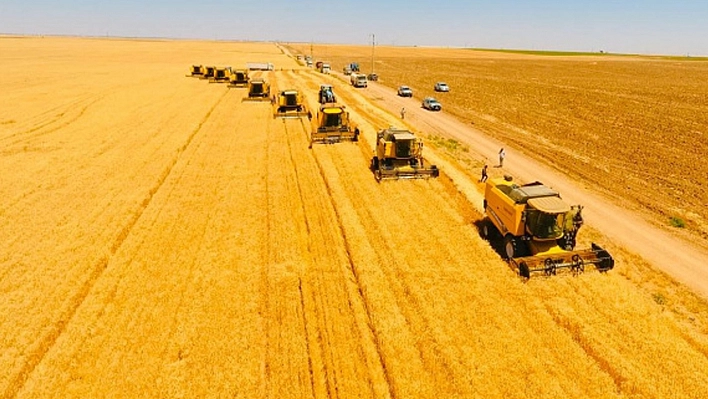 TİGEM'den 2025 hasat sezonunda 303 bin tonluk hububat katkısı