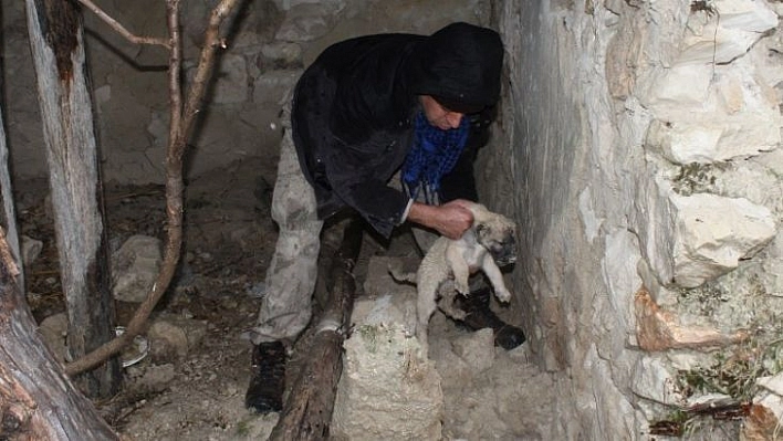 Toprak altında mahsur kalan yavru köpekleri belediye ekipleri kurtardı