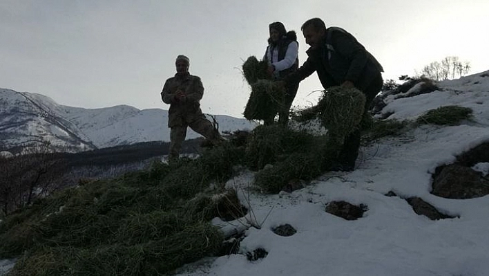 Tunceli'de Yaban Hayvanları İçin Doğaya Yem Bırakıldı