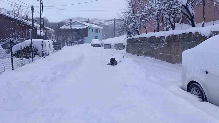 Tunceli'de 251 köy yolu ulaşıma kapandı