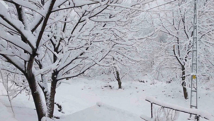 Tunceli'de 8 Nisan'da 20 santimlik kar sürprizi