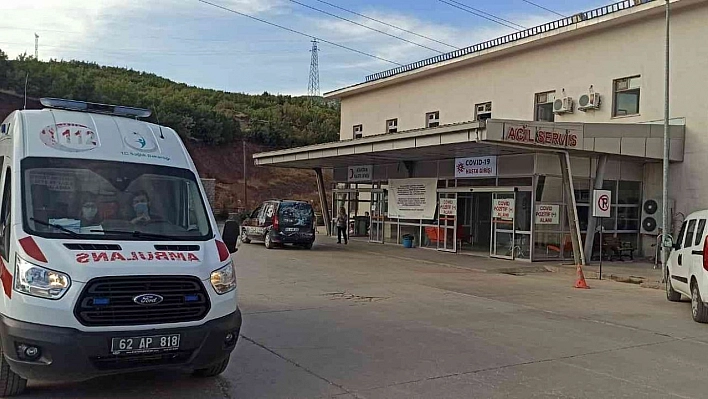 Tunceli'de arıların soktuğu adam hayatını kaybetti