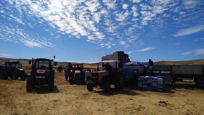 Tunceli'de bin 500 dekarlık alanda karma yem tohumluğu ekilecek