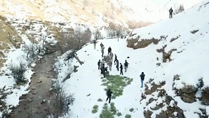 Tunceli'de doğaya yem bırakıldı, dağ keçileri akın etti