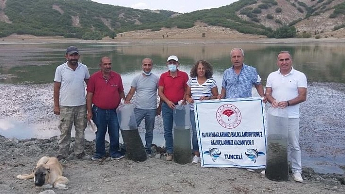 Tunceli'de Günboğazı Göletine 100 bin pullu sazan yavrusu bırakıldı