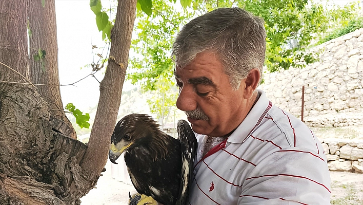 Tunceli'de ilginç dostluk