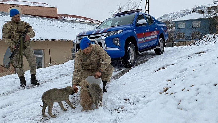 Tunceli'de jandarmadan yürekleri ısıtan davranış