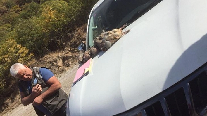 Tunceli'de kaçak avlanan 9 kişiye ceza kesildi, 14 ölü keklik ele geçirildi