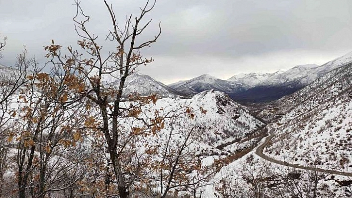 Tunceli'de kapalı bulunan 41 köy yolunun ulaşıma açılma çalışmaları sürüyor