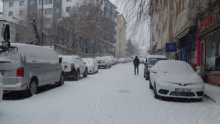 Tunceli'de kar yeniden bastırdı, 251 köy yolu ulaşıma kapandı