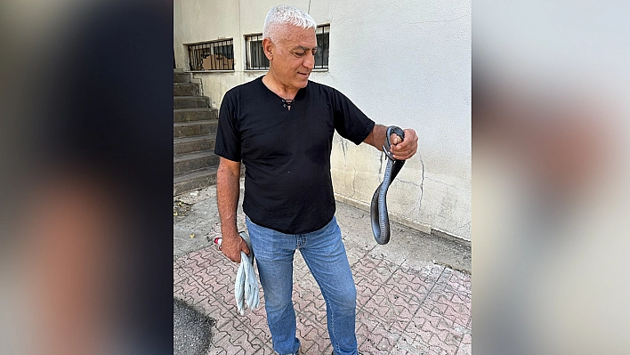 Tunceli'de karayılan paniği