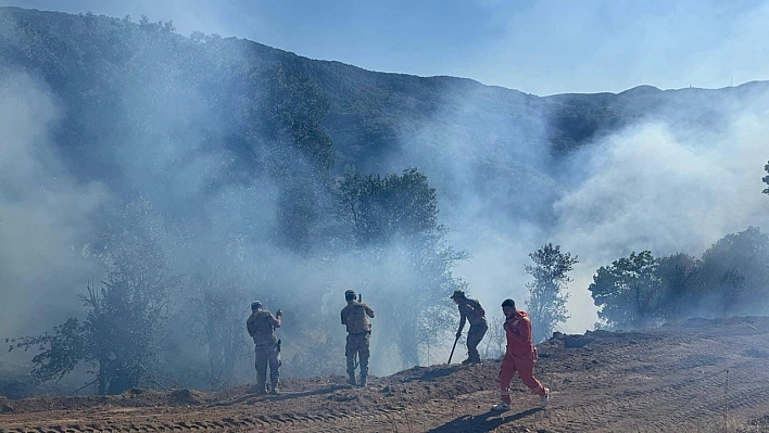 Tunceli'de korkutan yangın