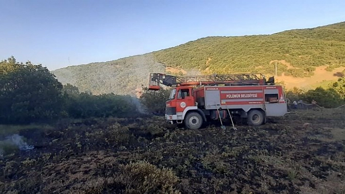 Tunceli'de ormanlık alana sıçrayan yangın büyümeden söndürüldü