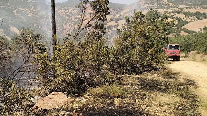 Tunceli'de ormanlık alanlardaki yangınlar söndürüldü