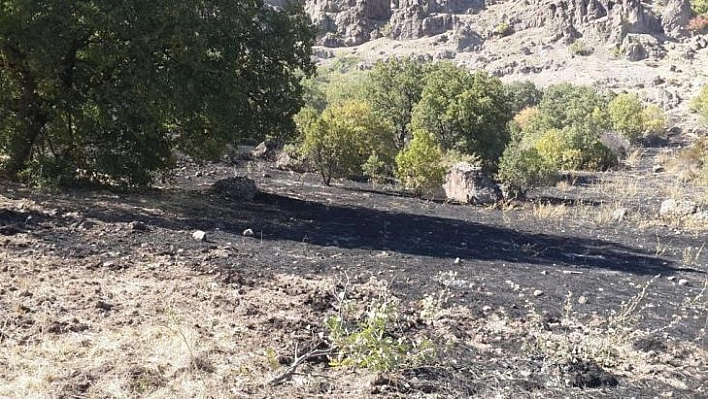 Tunceli'de örtü yangını büyümeden söndürüldü