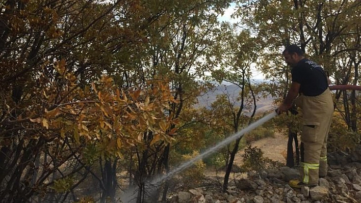 Tunceli'de örtü yangını büyümeden söndürüldü