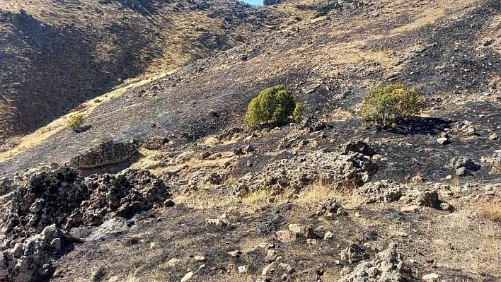 Tunceli'de otluk alandaki yangın kısa sürede söndürüldü