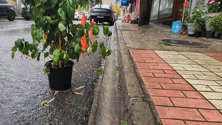 Tunceli'de sağanak yağış etkili oldu