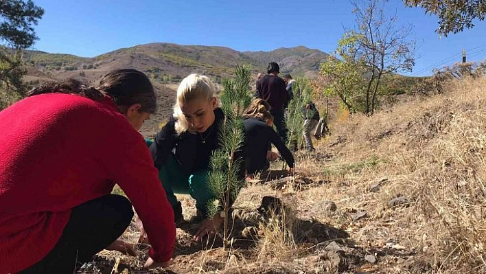 Tunceli'de Tenzile Erdoğan anısına fidan dikildi