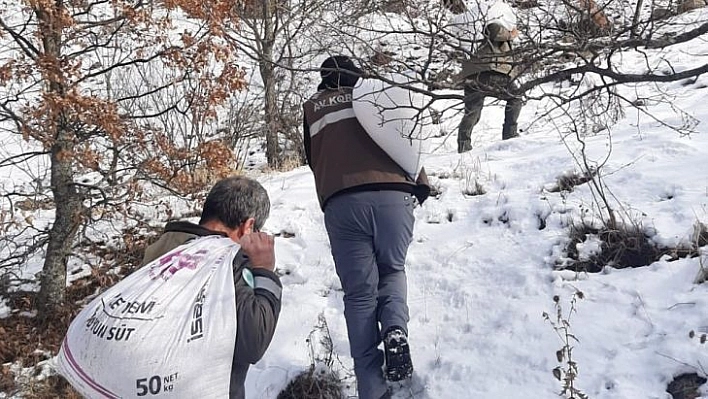 Tunceli'de yaban hayvanları için doğaya 6 ton yem bırakıldı