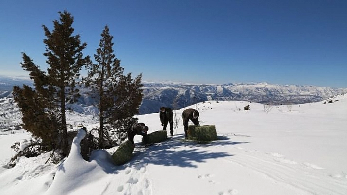 Tunceli'de yaban hayvanları için doğaya 2 ton yem bırakıldı