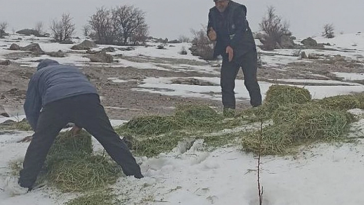 Tunceli'de yaban hayvanları için doğaya yem bırakıldı