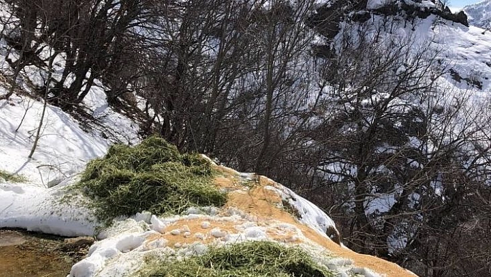 Tunceli'de yaban hayvanları için doğaya yem bırakıldı