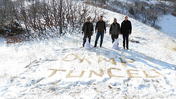 Tunceli'de yaban hayvanları için doğaya yem bırakıldı