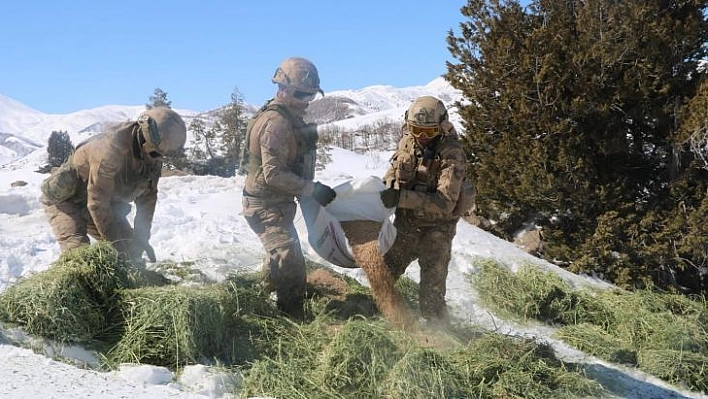 Tunceli'de yaban hayvanlarına helikopterle yem desteği