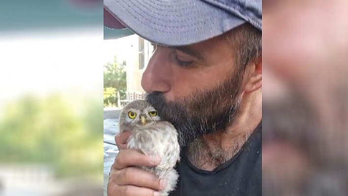 Tunceli'de yavru baykuşun sevimli anları gülümsetti