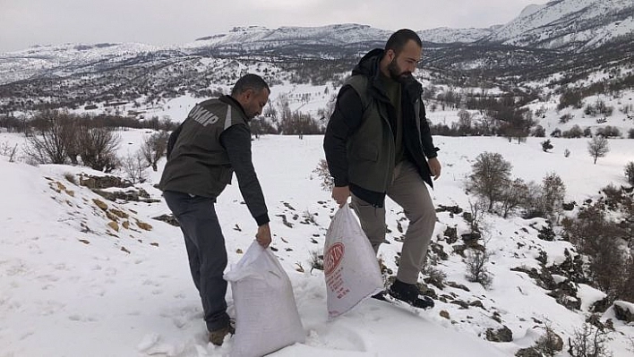 Tunceli'de yemleme ve denetim çalışmaları sürüyor