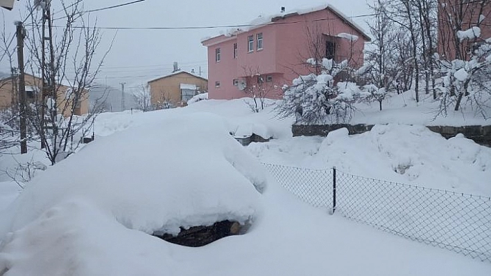 Tunceli'de yoğun kar yağışı, 250 köy yolunu ulaşıma kapattı