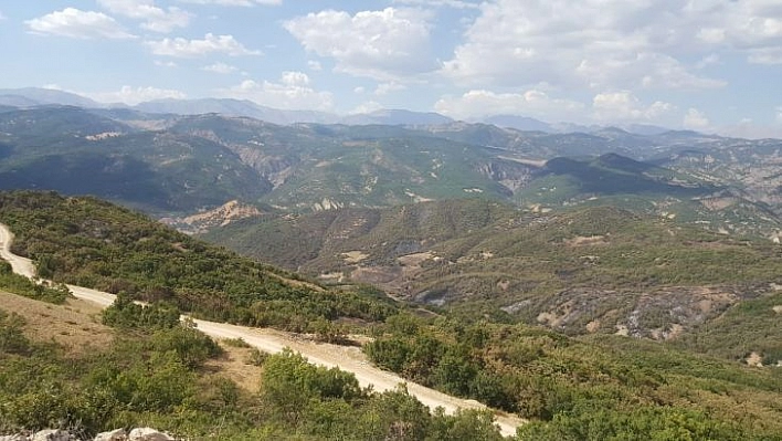 Tunceli'deki orman yangınında soğutma çalışmaları tamamlandı