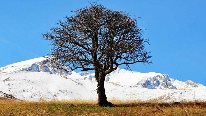 Tunceli'nin yüksek kesimlerinde kar yağışı etkili oldu