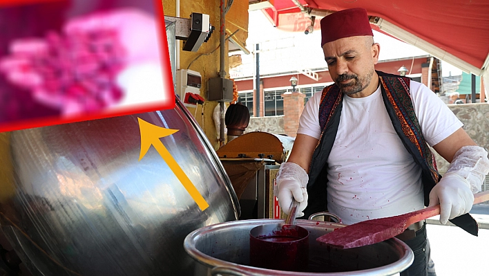 Türkiye'de Sadece Elazığ'da Var